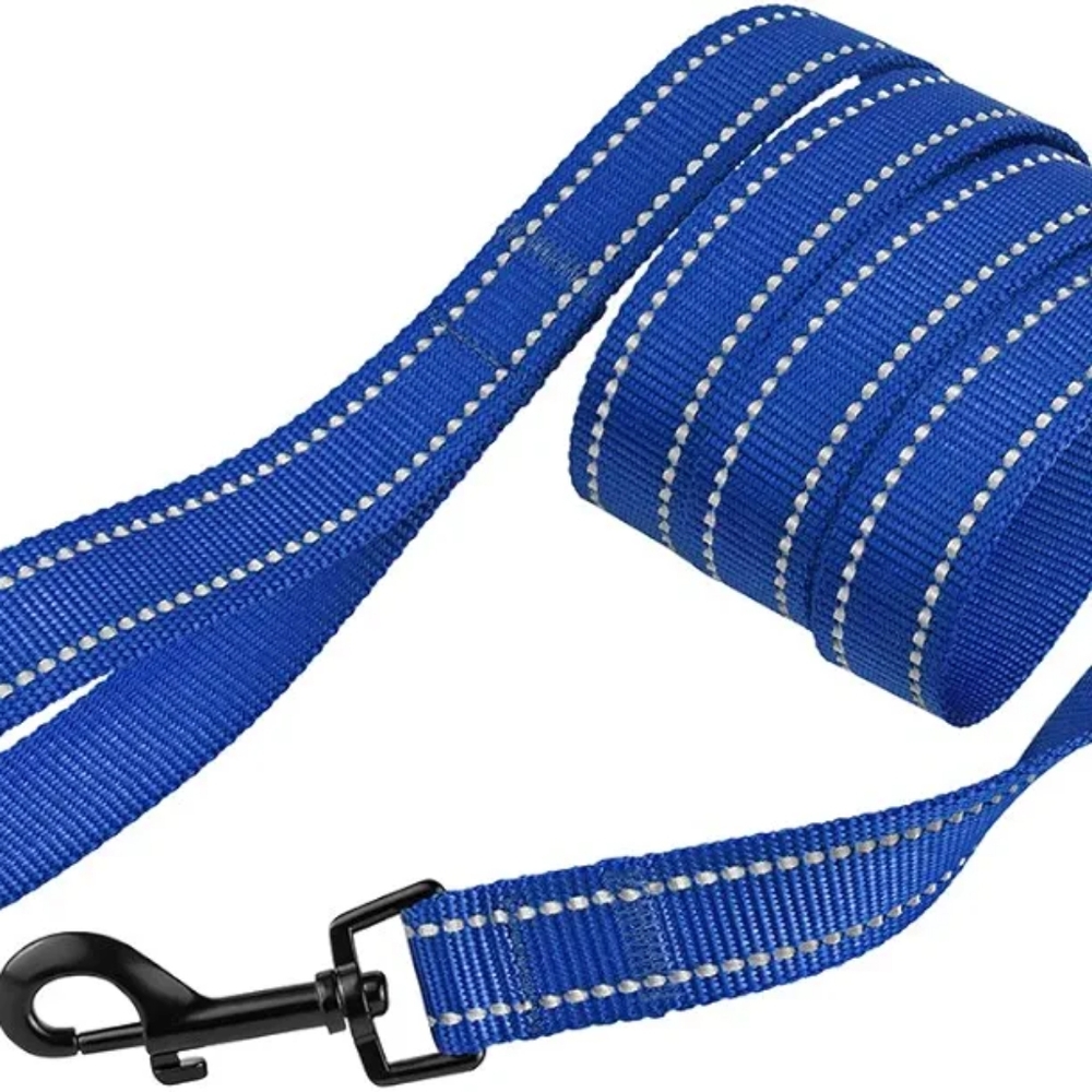 CollarDirect Nylon Dog Leash 5ft for Daily Outdoor Walking Running Training